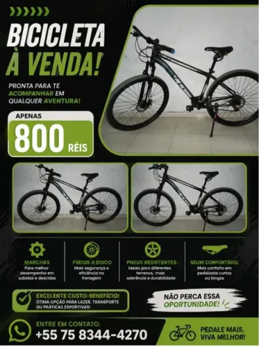 Bicicleta 