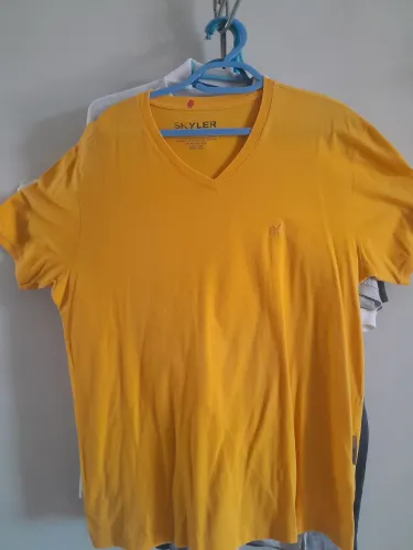 Camisas masculinas 