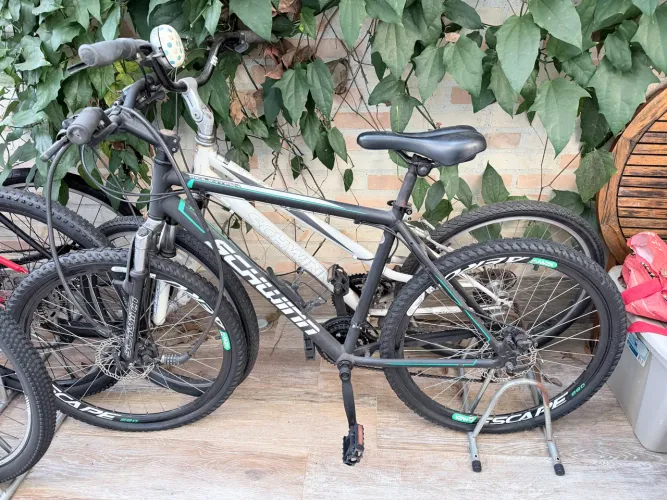 Bicicleta Schwinn Mountain Aro 26