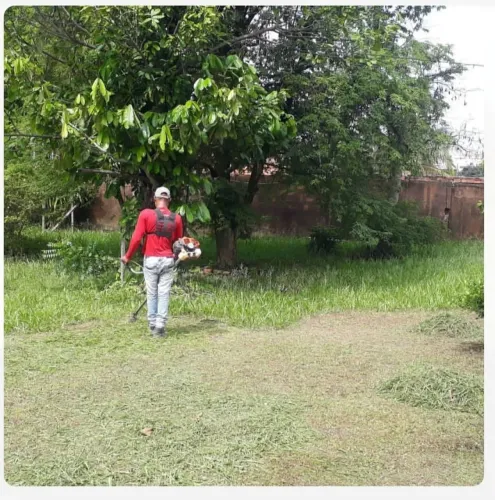 Jardineiro