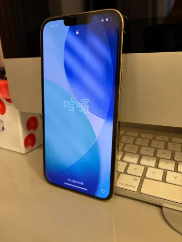 iPhone 13 Pro Max 1TB