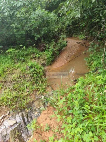 Chácara à venda, 15.860000 Hectares por R$ 360.000 - Zona Rural - Nossa Senhora da Guia (C