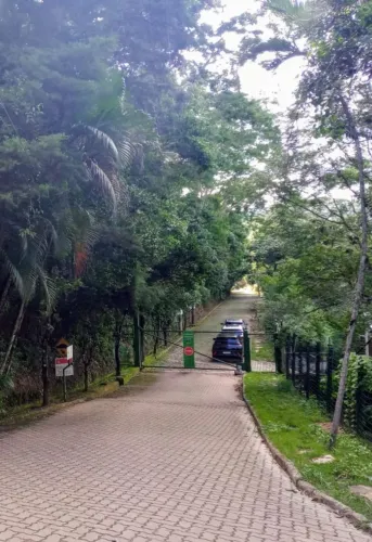 Lote ecoville macacos