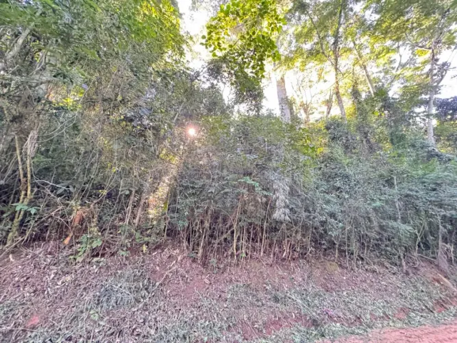 Oportunidade Imperdível em Jambeiro/SP! - Venda de Chácara com 5.000 m² - Fácil Acesso! ap