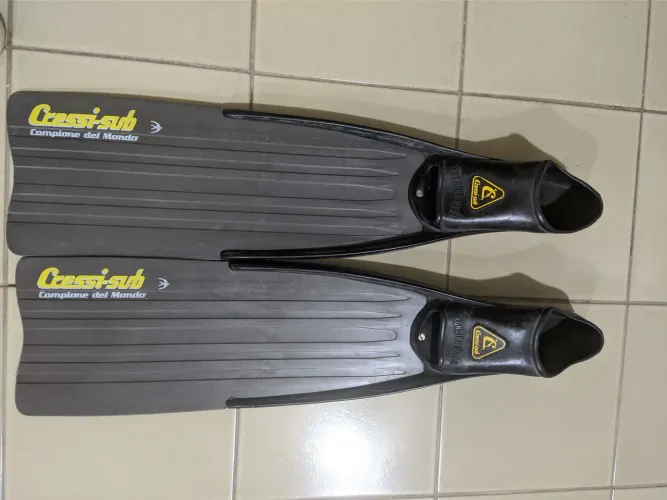 Nadadeira pala longa