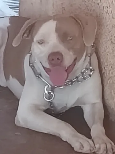 LEIA O ANUNCIO Zeus