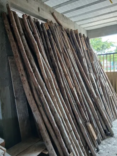 Escoras de eucalipto