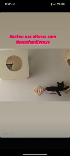 Playground para gatos