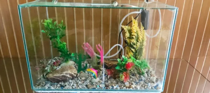 Aquário 20L