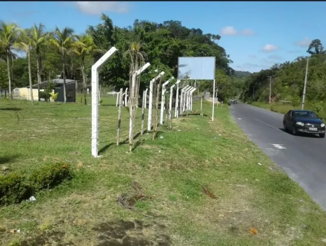 Terreno na pista da AM-010, Km 51 com 1.000.000m2 - 860 mts de frente. Menor Preço