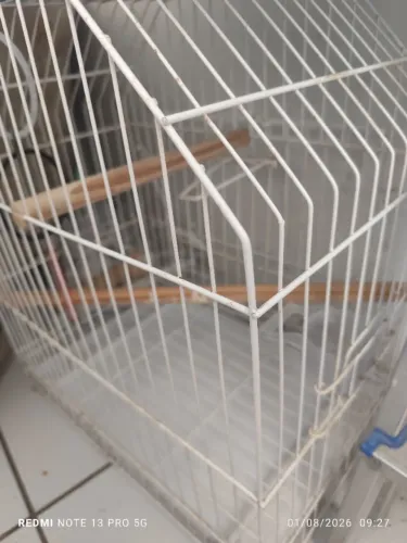 Gaiola calopsita e de hamster