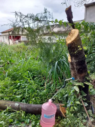 Lote/Terreno para venda possui 35000 metros quadrados em Riachuelo - Rio de Janeiro - RJ