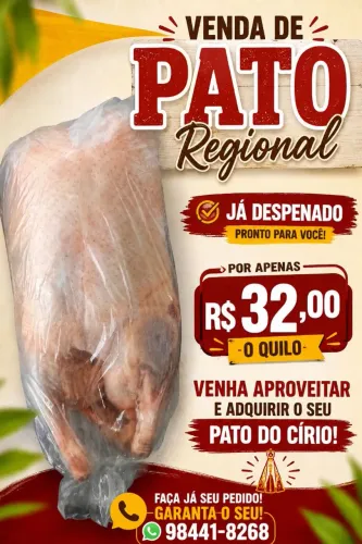 Vendo Patos regional