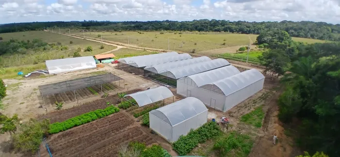 Estufas agricolas 
