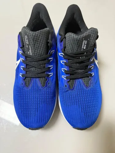 Tênis Nike pegasus 39