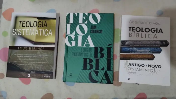 Teologias sistematicas e bíblicas