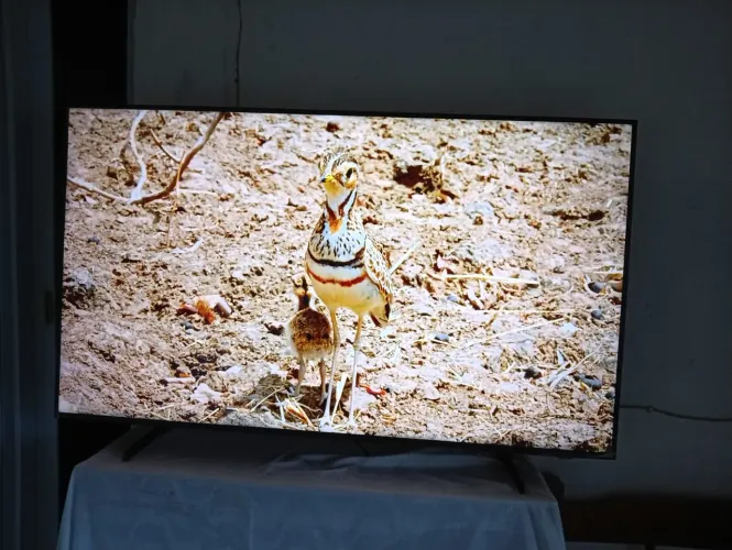 Vendo essa esmart tv samsung 55 polegadas 