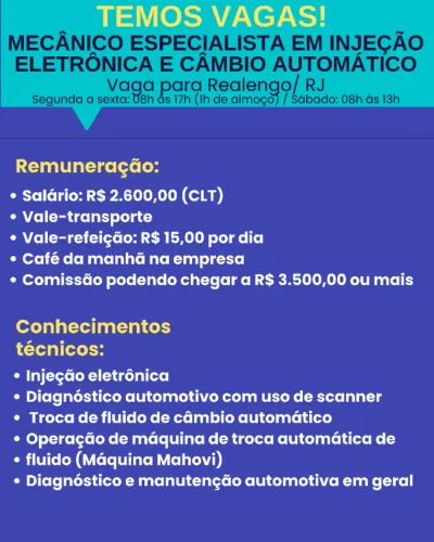 Mecânico Automotivo Especialista em Injeção Eletrônica e Câmbio Automático - Realengo/RJ 