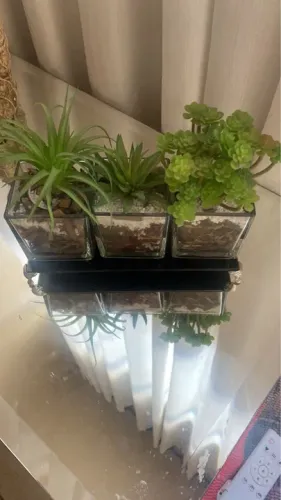 [novo] Adorno Kit de 3 Vasos Artificiais de Suculentas em Vidro para Decoração