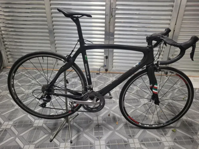 Speed carbono tam 54