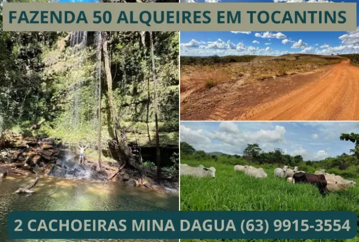 Fazenda, Terra, Lavoura, Platanção, Soja, Cana, Canavial, Cercada, Chacara, Chácara, Roça 