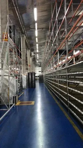 Lote porta palete semi-novo