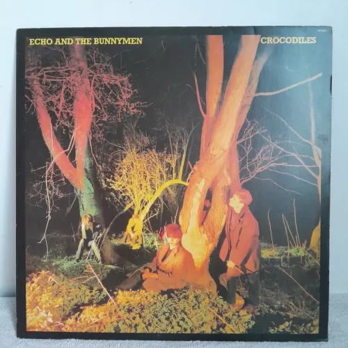 Vinil lp Echo & The Bunnymen - impecável