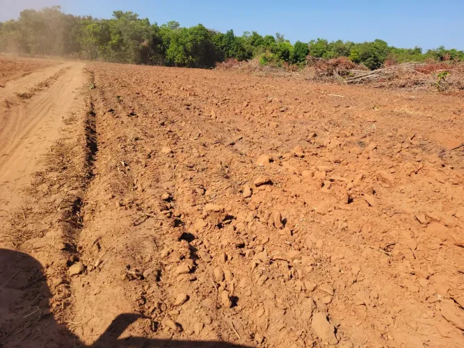 Fazenda de arrendar 5.360hec gradeados e calcariados