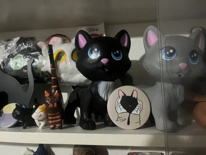 Coleção de gatos pretos diversos
