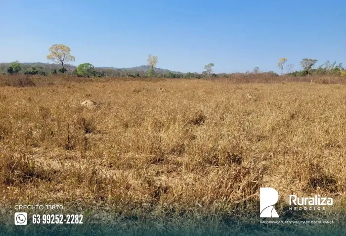 Pedro Afonso - TO 12 km do asfalto, terras de cultura, região de safra e safrinha