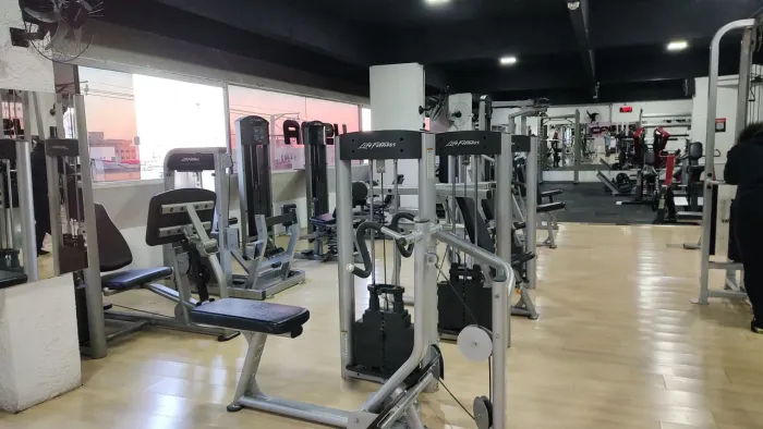 Aparelhos Academia ou Estúdio Life Fitness