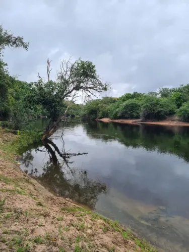 Vendo fazenda excelente pra reserva legal
