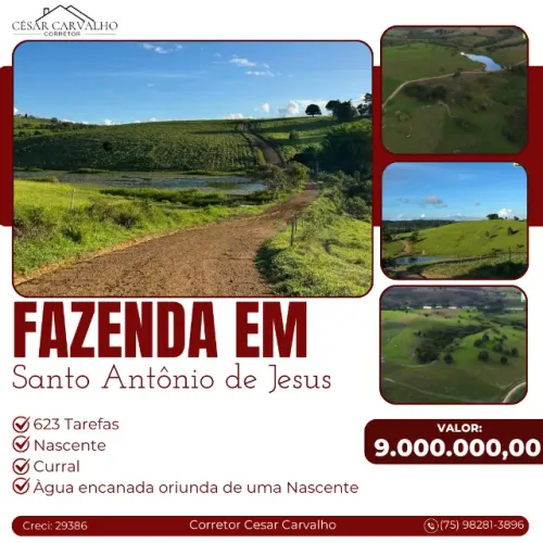 FAZENDA EM SANTO ANTÔNIO DE JESUS - 623 TAREFAS