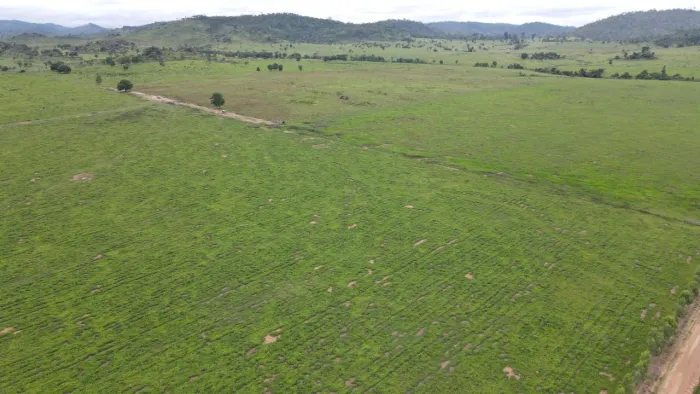 Fazenda 1.300 alqueires em castelo dos sonhos PA. 50.000 por alq.