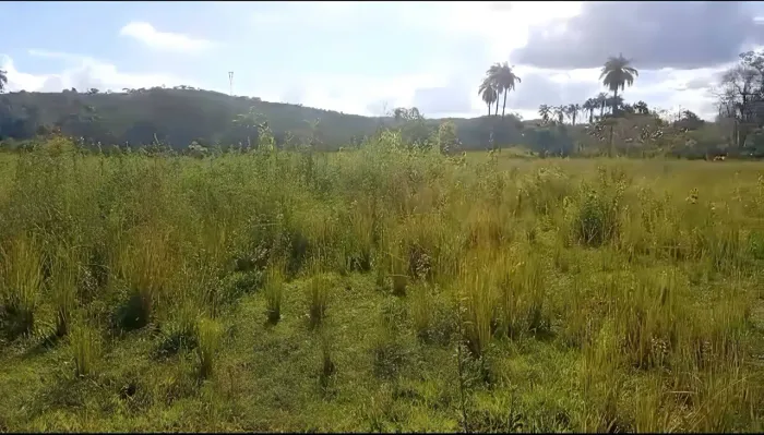 Serra do Cipó | 21.000 m² com Nascente Dentro do Terreno | R$ 280 Mil | Aceito Carro
