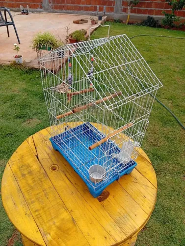 Vende se Gaiola para Calopsita, Periquito etc...