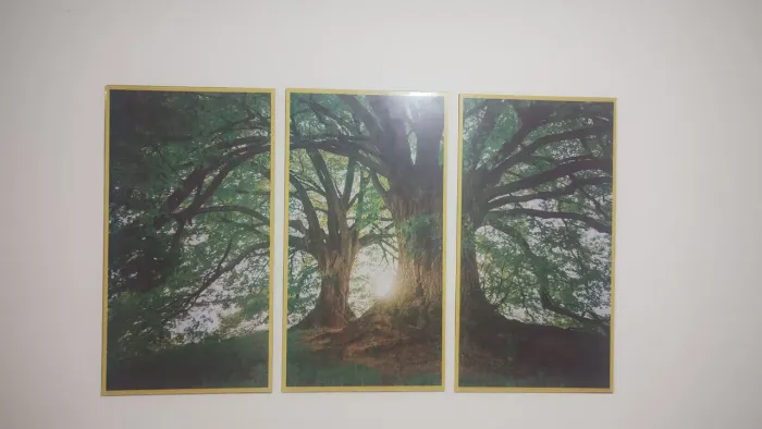 Quadro decoração  medidas 3x  quadros 62 autura 34 largura 