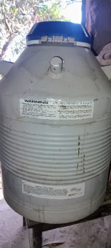 Botijão nitrogênio 