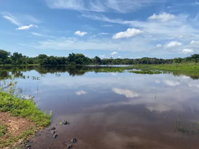 Fazenda a venda, em Talismã Tocantins!