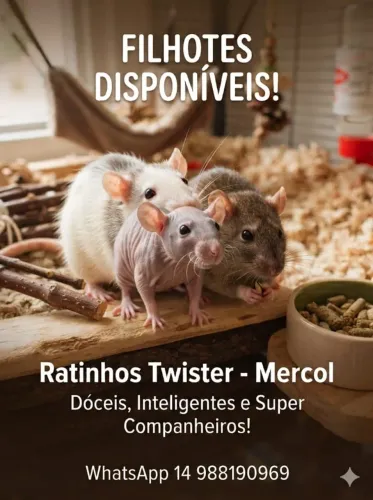 Ratinho Twister