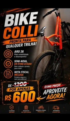 Bicicleta 
