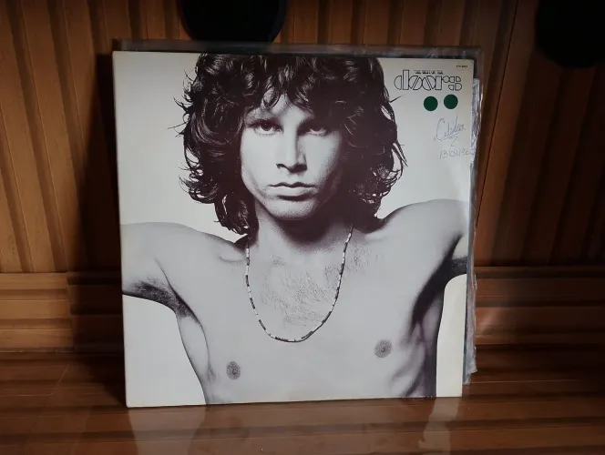 LP vinil duplo the Doors rock roll 