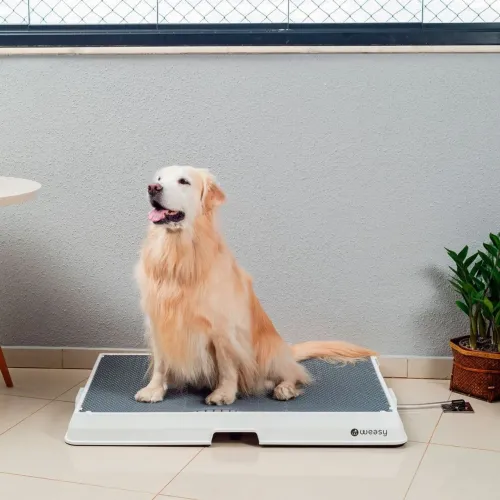 Weasy G - Banheiro Pet