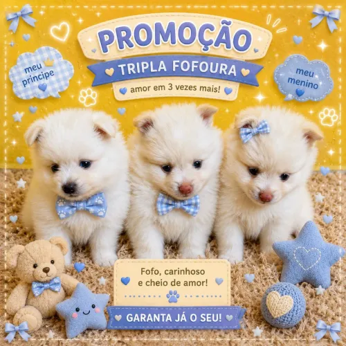 Cachorro