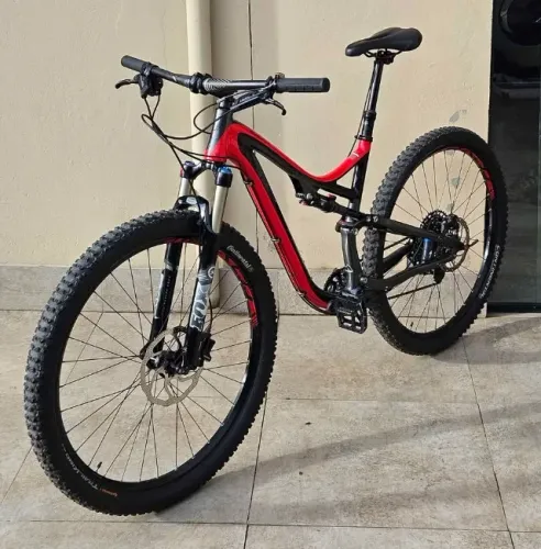 Specialized 29 Stumpjumper elite Tam L