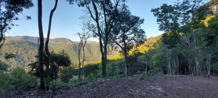 Área de terra bairro Linha Brasil Fundos, Nova Petrópolis.RS Ref.:125