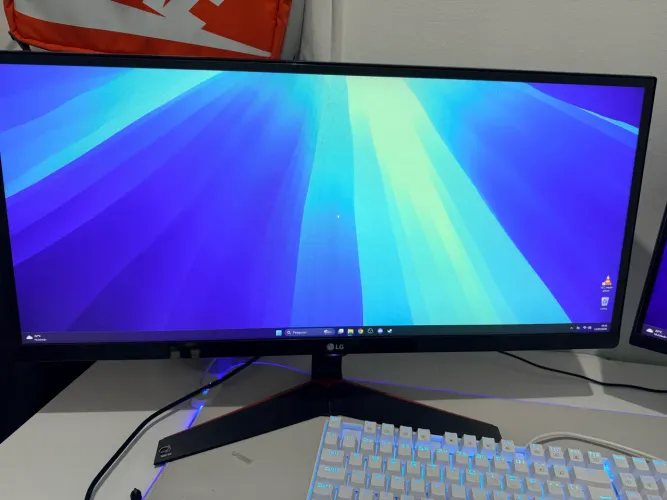 2 monitores