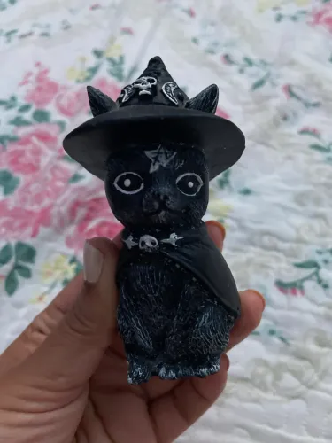 Gato místico
