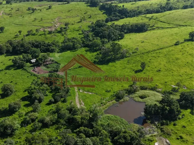 Sítio com 22 alqueires para pecuária na região de Porangaba-SP