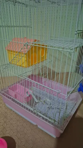 Casinha de Ramister nova usanda menos de 2 meses